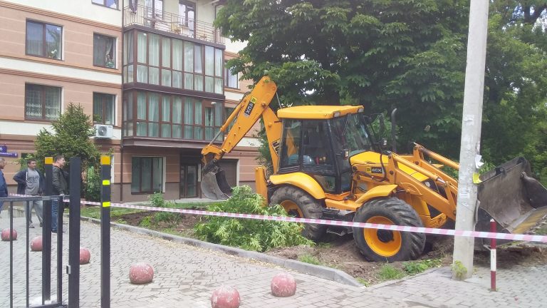 У дворі на Мазепи почали різати дерева: мешканці обурені, комунальники не бачать проблеми (ФОТО)