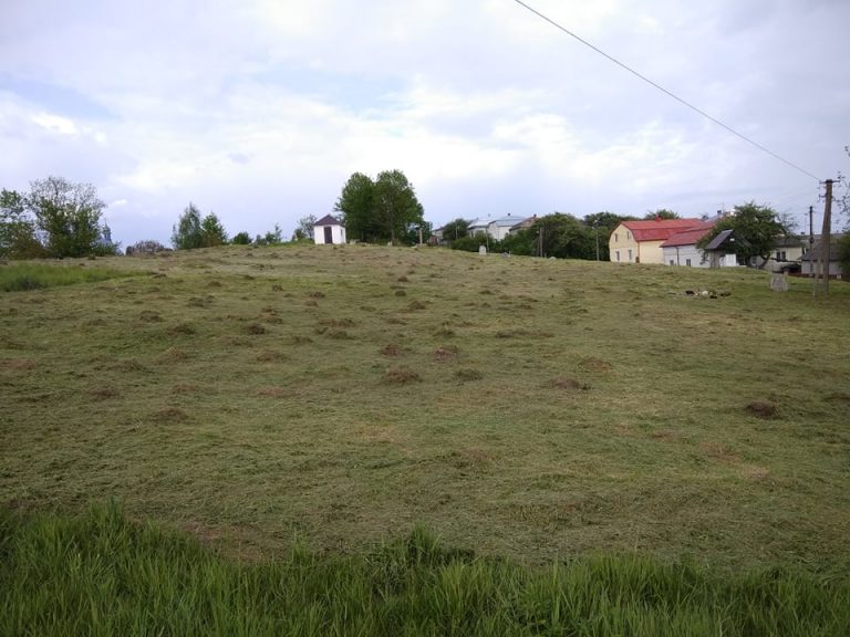 400-річне єврейське кладовище розчищають на Франківщині (ФОТО)