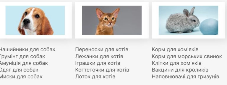Як обрати зоомагазин для вашого улюбленця