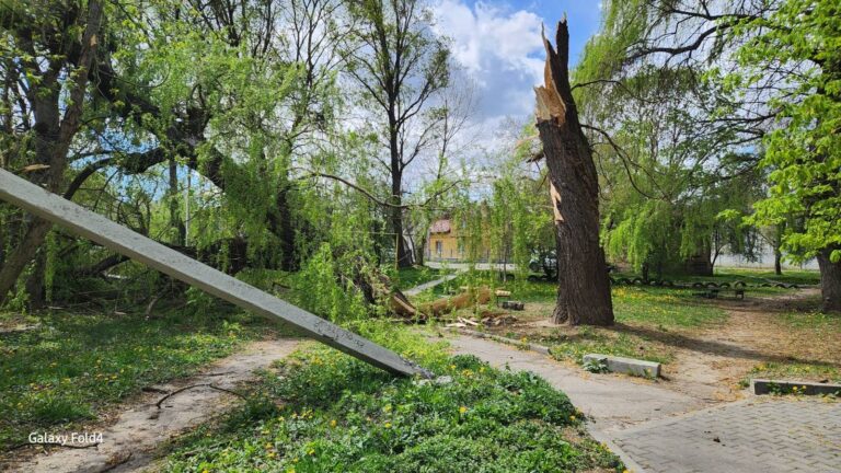 У Франківську буревій повалив 34 дерева та пошкодив 14 дахів: наслідки продовжують ліквідовувати (ФОТО)