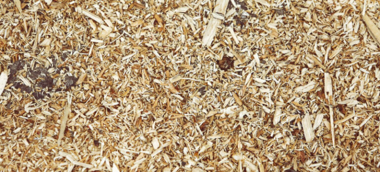 На Косівщині поліція арештувала вантажівки, на яких незаконно вивозили ліс та гравій