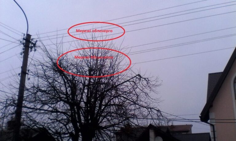 У обленерго пояснили, які гілки вони можуть обрізати, а до яких їм діла немає