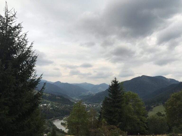 Прикарпатський нардеп похизувався грибами, які знайшов на окрузі (ФОТО)