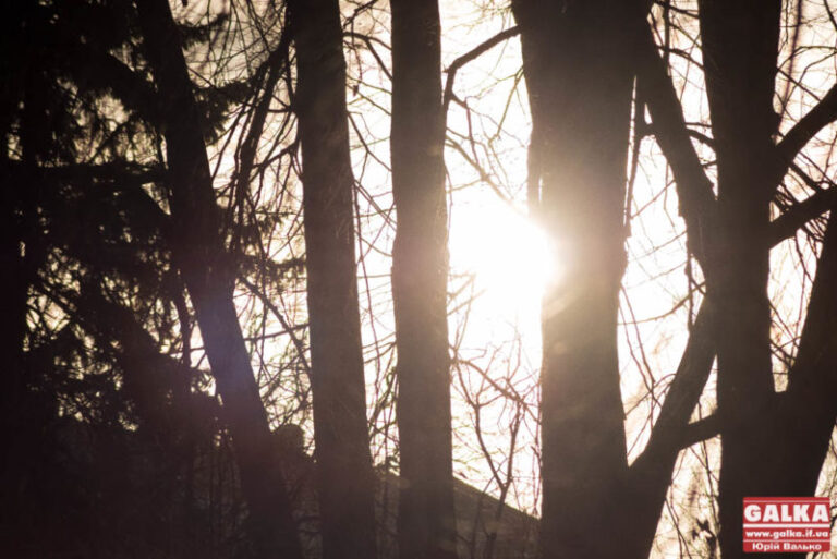 Цікаві виставки, фільми та вистави неділі в Івано-Франківську