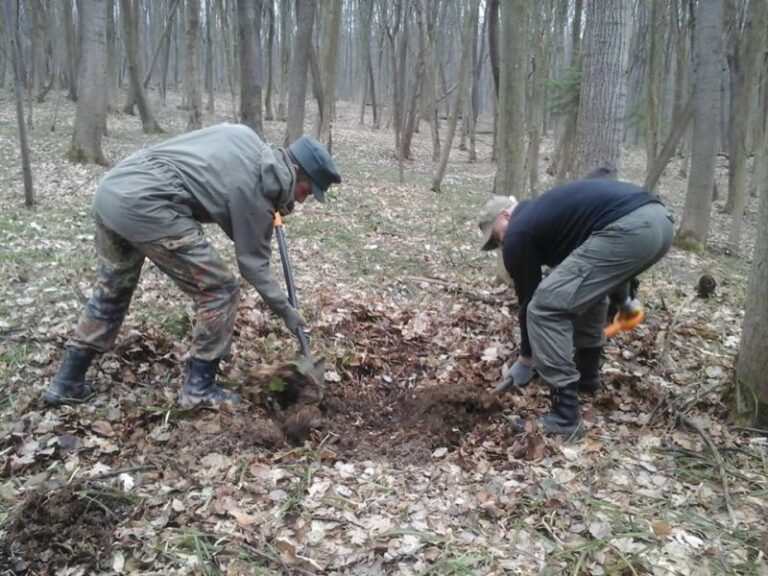 На Калущині ексгумували останки вояка австрійської армії (ФОТО)