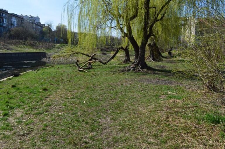 Хочете змін, починайте з себе: небайдужі містяни прибирали береги франківського озера (ФОТО)