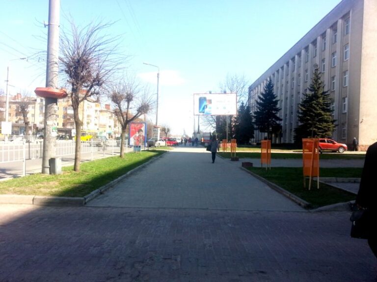 У Франківську посадили 60 кулястих кленів (ФОТО)