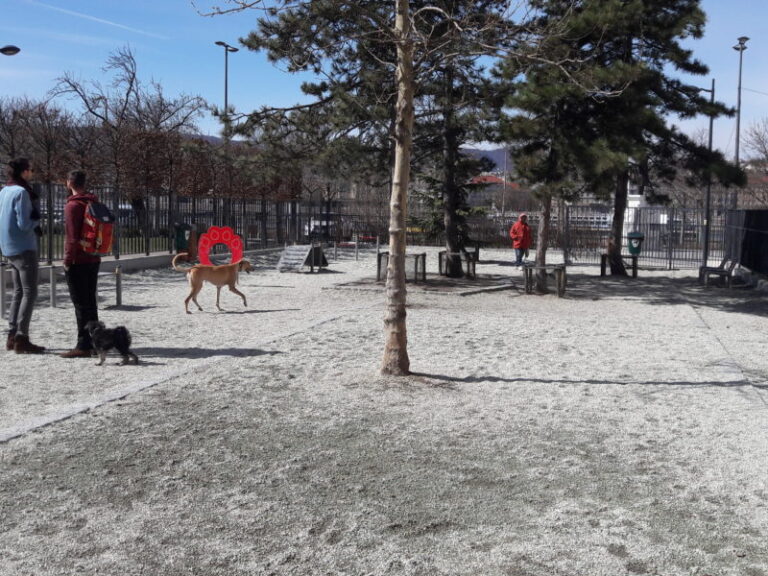 В  Івано-Франківську з’явиться майданчик для вигулу собак