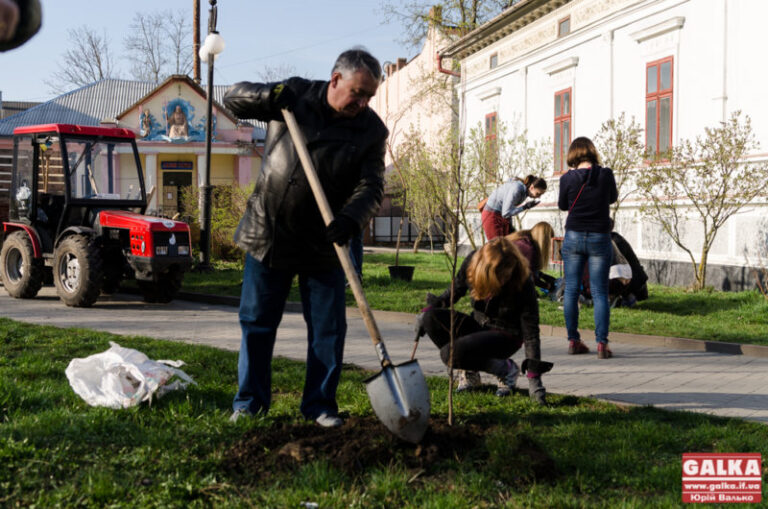 Як у Франківську загальноміську толоку проводили (ФОТО)
