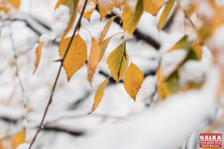 У Франківську міське озеро “зарибили” щукою (ВІДЕО)