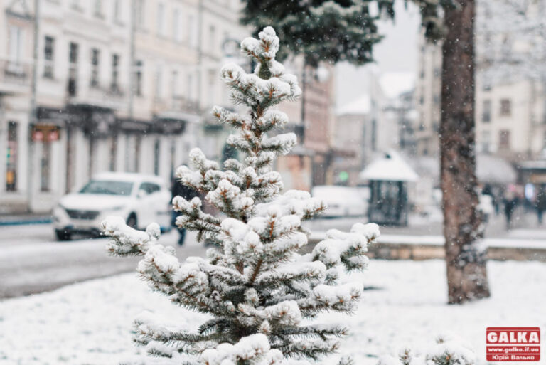 Іванофранківці визначаються, яким має бути бюджет участі 2019