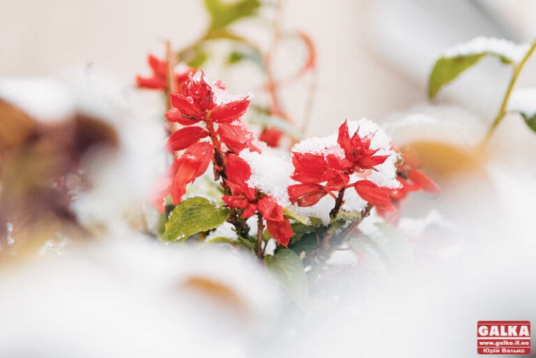 Долинська ОТГ стане третьою міською громадою на Прикарпатті