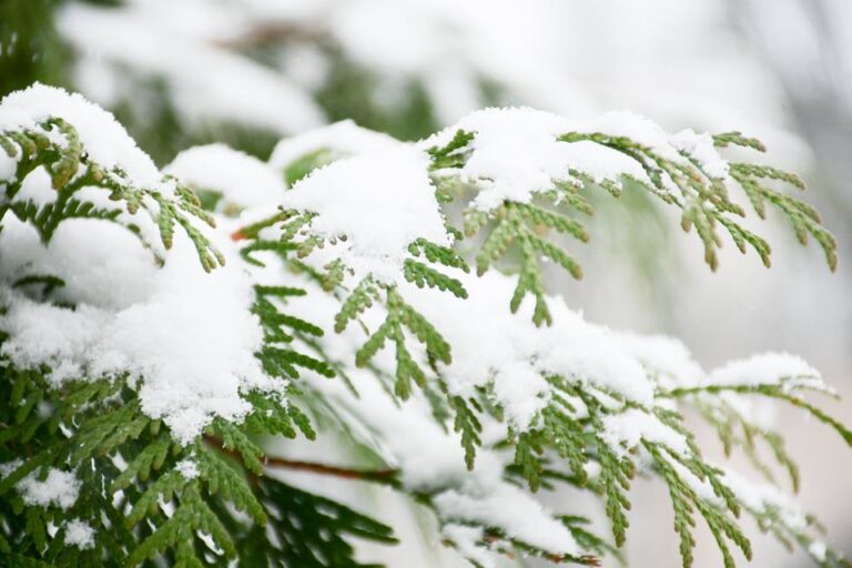 Суд визнав, що обласна федерація футболу незаконно приватизувала “Хет-трик Арену”