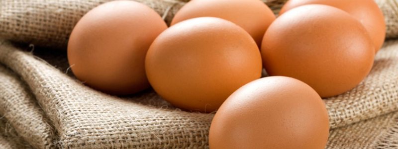 Фото курячого яйця стало найпопулярнішим постом в Instagram за всю історію