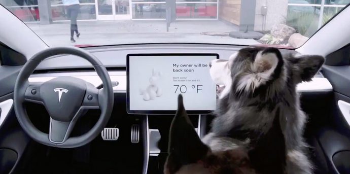 В електромобілях Tesla з’явився режим для собак