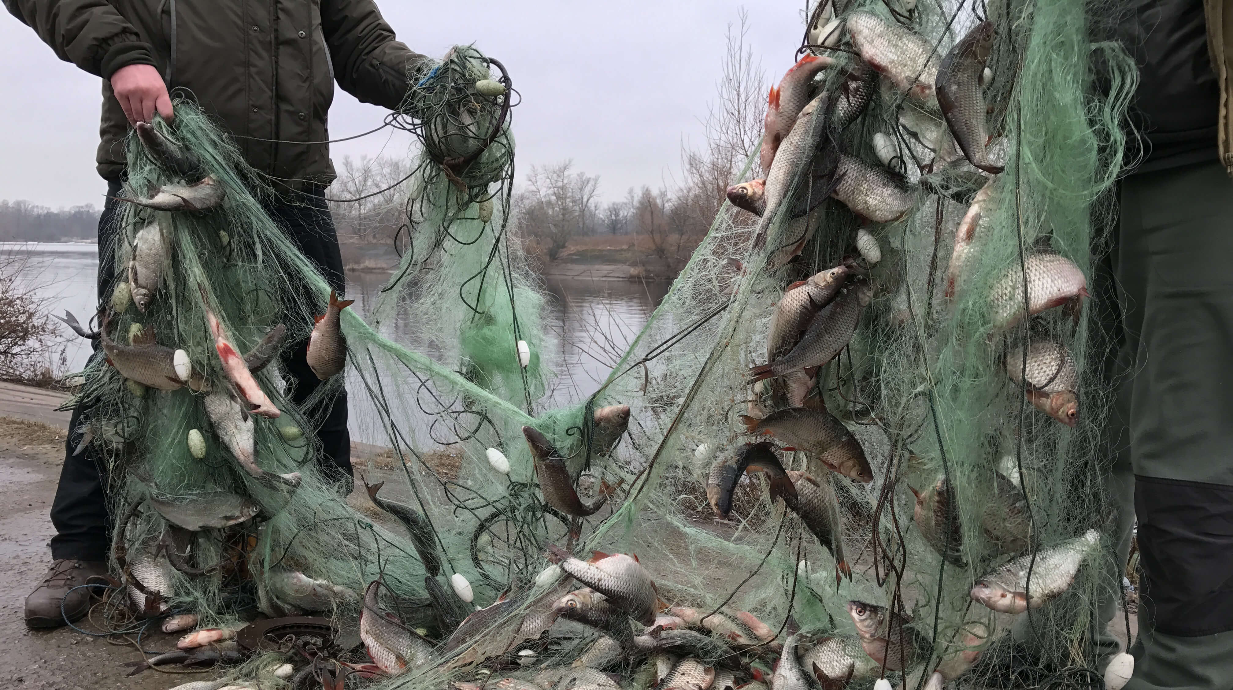 Екологи Прикарпаття оштрафували 92 рибалок-порушників