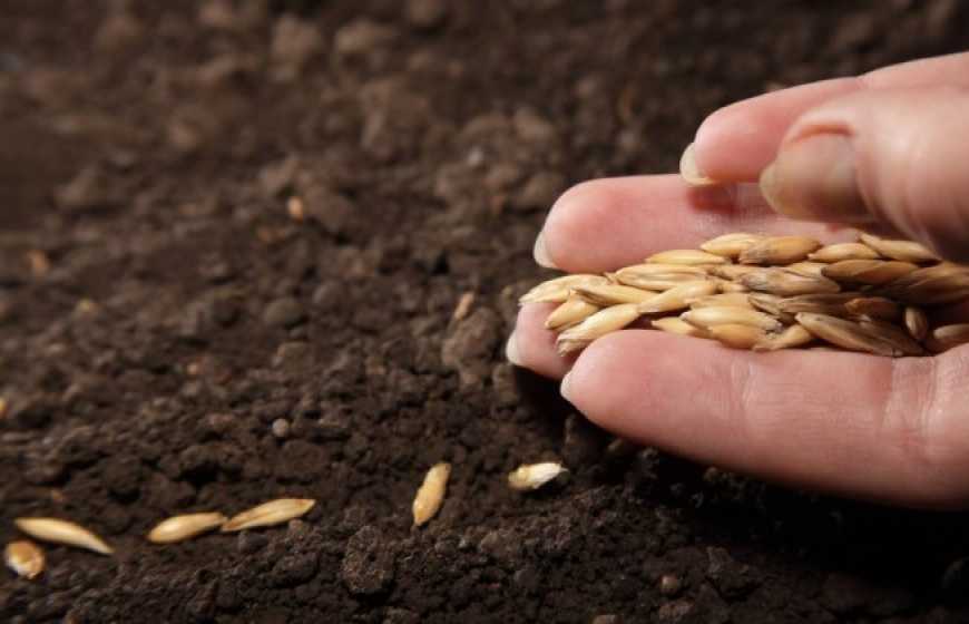 путін відкрито торгується з ЄС: обіцяє поставки зерна в обмін на зняття санкцій