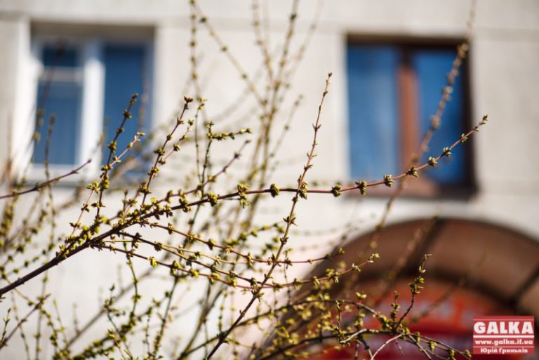 Що цікавого в перший день весни у Івано-Франківську