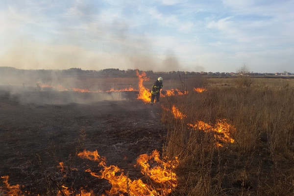 Рятувальники закликають прикарпатців не провокувати пожеж сухої трави