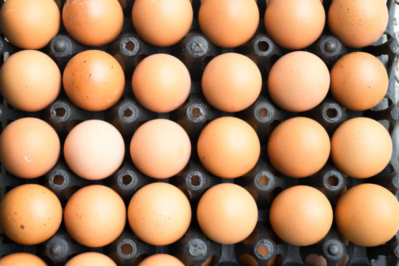 Хотіли по 7,5 – купили по 5: на Прикарпатті конкурентний тендер знизив вартість яєць