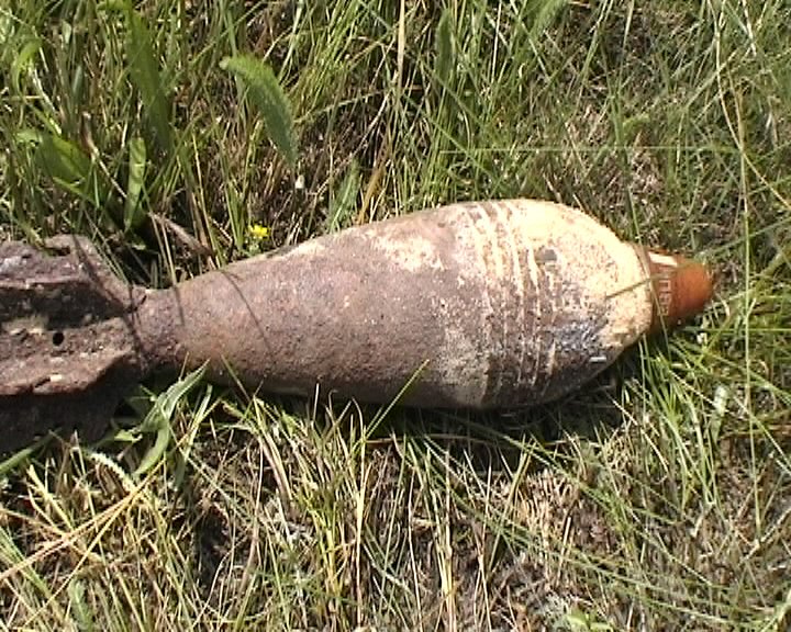 У лісі на Коломийщині натрапили на застарілу міну