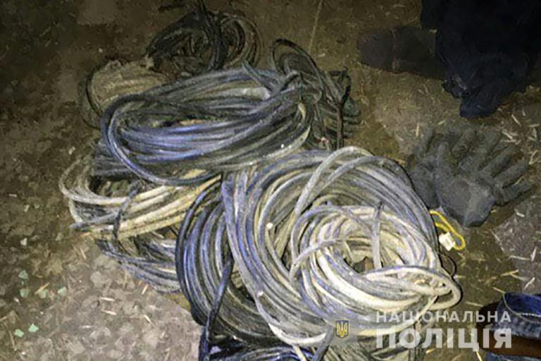 На Прикарпатті поліціянти затримали двох крадіїв телефонних кабелів (ФОТО)