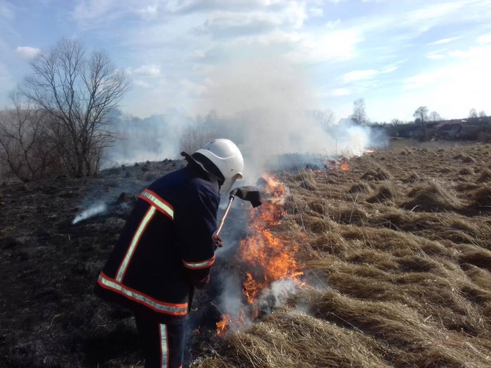 Підпали сухої трави обійшлися Долинщині маже у три мільйони гривень