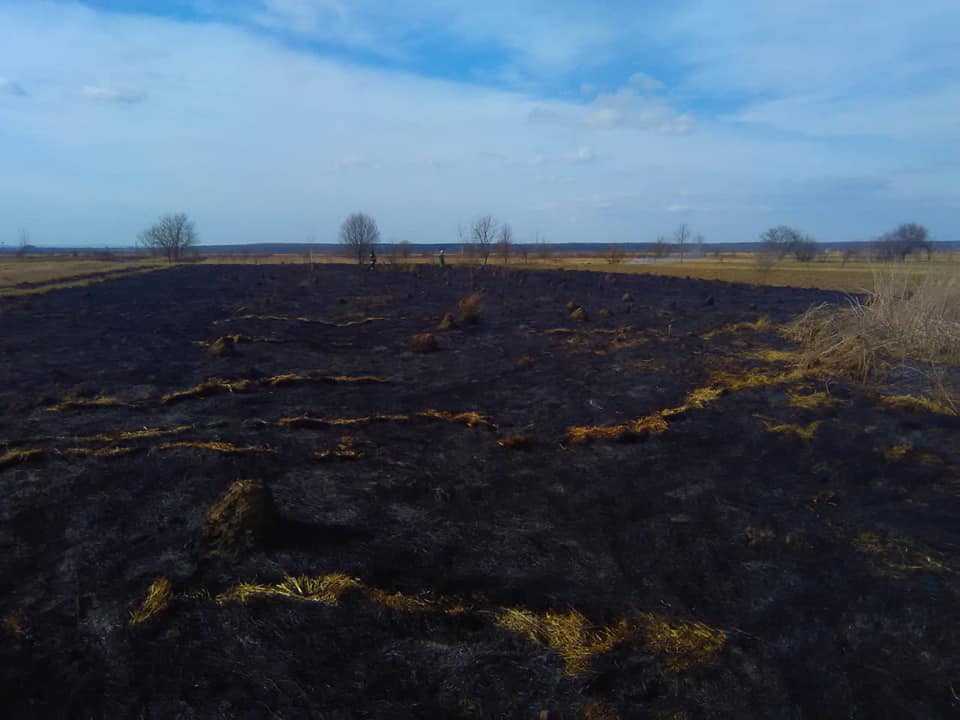 38 пожеж за добу: прикарпатці продовжують масово палити траву 