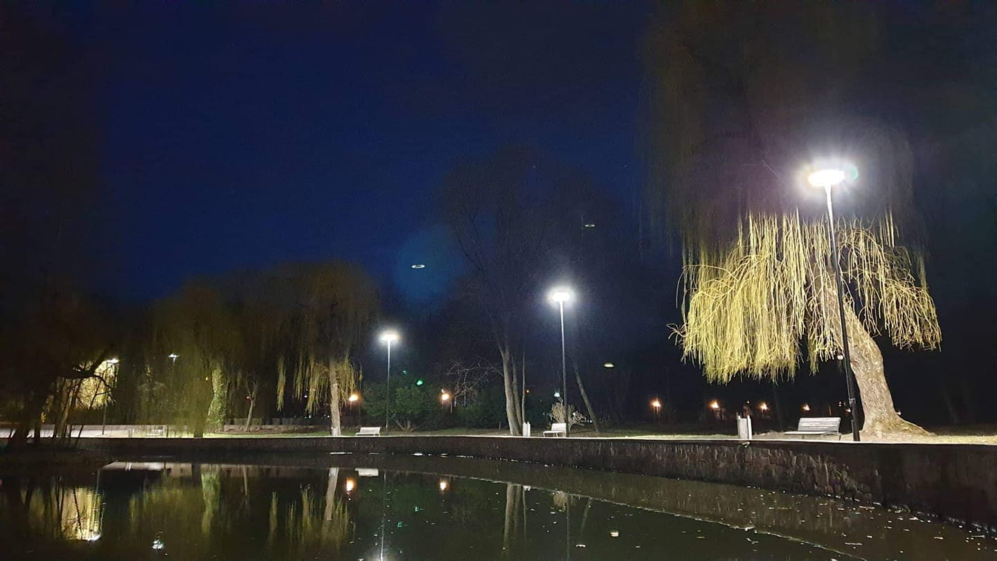 “Лебедине озеро” у міському парку отримало нове вечірнє освітлення (ФОТОФАКТ)