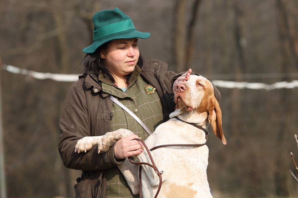 На Прикарпатті влаштували змагання мисливських собак (ФОТО, ВІДЕО)