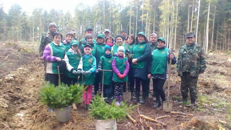 На Калущині висадили 3 000 сіянців дугласії та дуба (ФОТО)