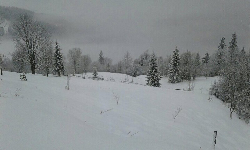 Карпатські села посеред березня накрило снігом (ФОТО)