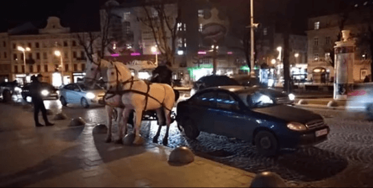 У центрі Львова п’яний водій карети з кіньми ледь не розчавив людей на переході і влетів у легковик (ВІДЕО)