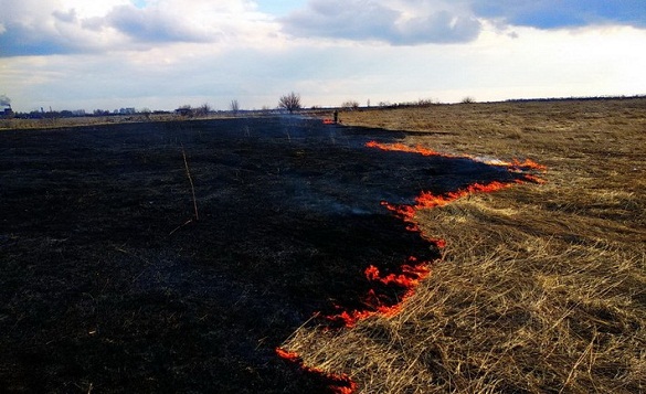 Прикарпатці продовжують завдавати клопоту надзвичайникам спалюванням трави