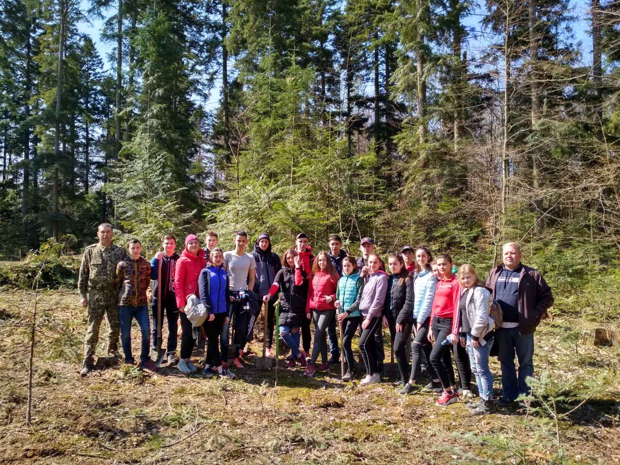 На Косівщині школярі висадили дві тисячі сіянців ялиці та модрини (ФОТО)