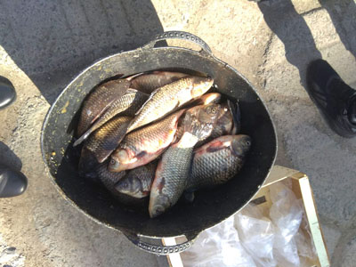 У Надвірній спіймали нелегального торговця рибою (ФОТО)