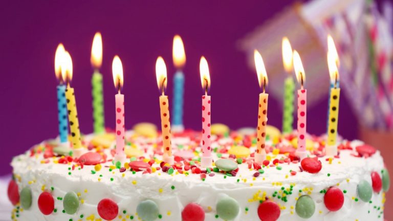 Песик сам обрав собі подарунок на день народження – це відео вкраде ваші сердечка