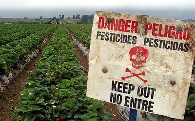 Як не отруїтись пестицидами. Поради прикарпатських фахівців