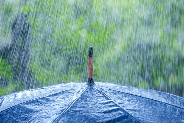 Прикарпатців попереджають про сильні зливи  у суботу