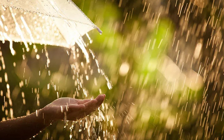 Сильний дощ і підняття води в річках: найближчі дні на Прикарпатті будуть “штормовими”