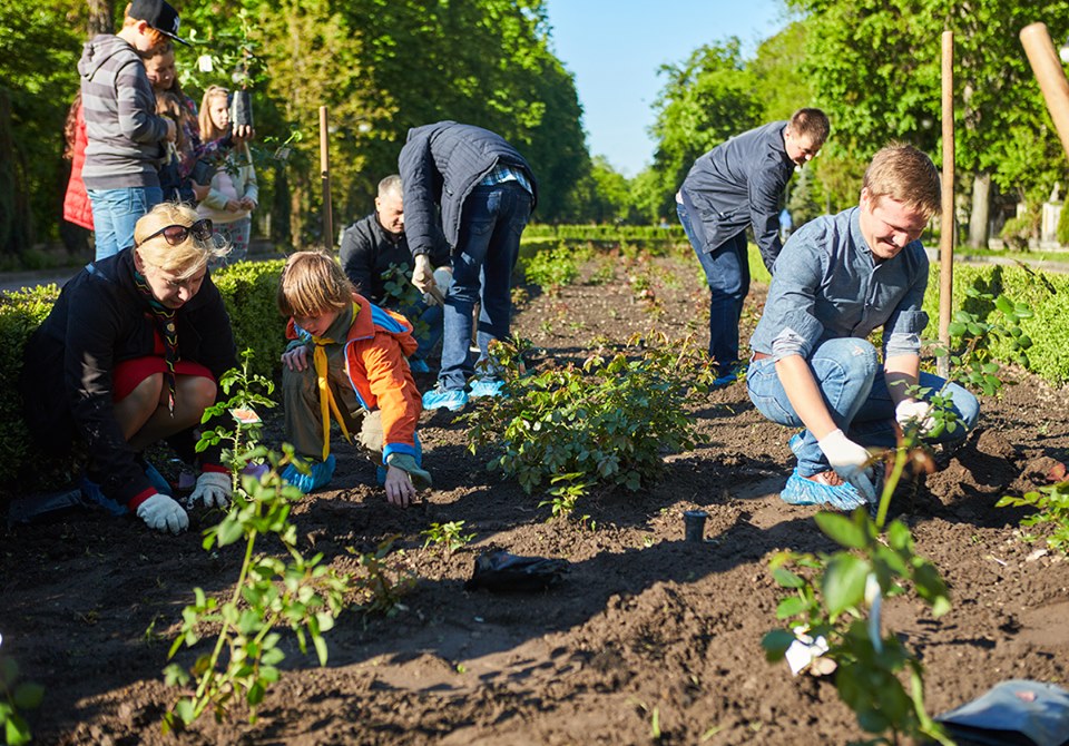 У парку Шевченка висадили “іменні” троянди для мам (ФОТО)