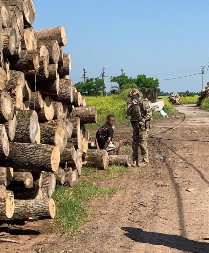Африканців і китайців використовували на переробці лісу на Київщині (ФОТО)
