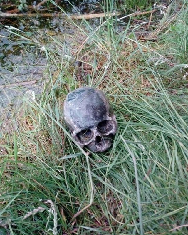 На Прикарпатті поблизу озера знайшли людський череп (ФОТО)