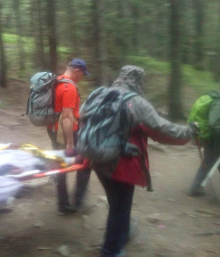 У горах травмувалась 11-річна дівчинка, а 16-річного хлопчика – вкусила змія (ФОТО)