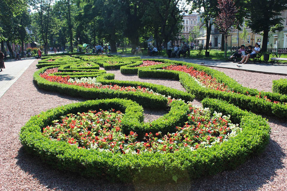 У середмісті Івано-Франківська клумби зацвіли яскравими літніми квітами (ФОТО)