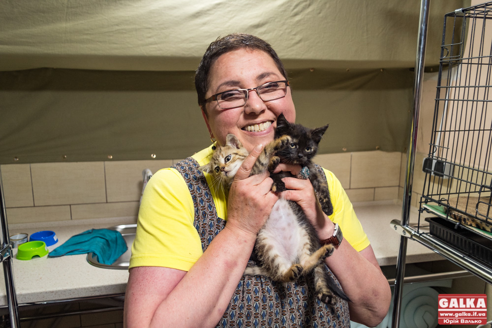 Тут доглянуть за вашою кицькою. Як працює перший хостел для котів «Пані Коцька» (ФОТО)
