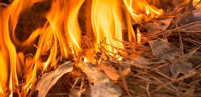 На Надвірнянщині горіла стайня через спалювання трави – власник отримав опіки