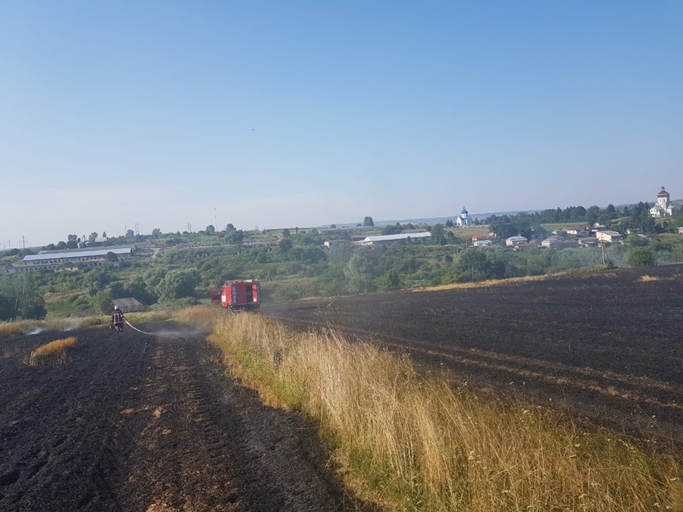 У селі на Рогатинщині горіло поле. Ймовірно підпал (ФОТО)