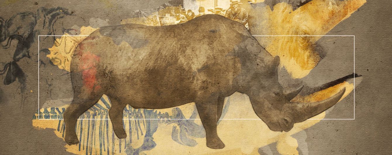 Мамонт та волохатий носоріг. Яких тварин льодовикового періоду знайшли на Прикарпатті та що можуть знайти ще (ВІДЕО)