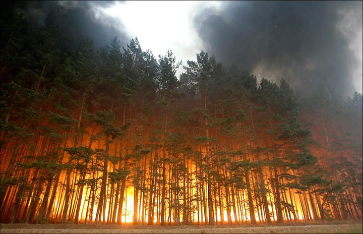 Не провокуйте пожеж в екосистемах, – рятувальники вкотре звертаються до прикарпатців
